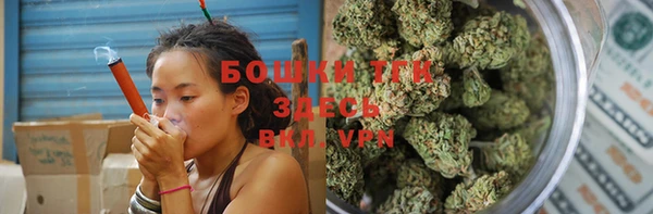 СК Новодвинск