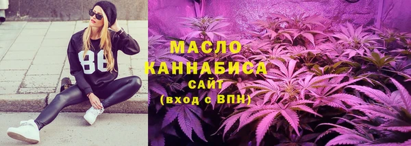 СК Новодвинск