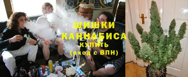 СК Новодвинск