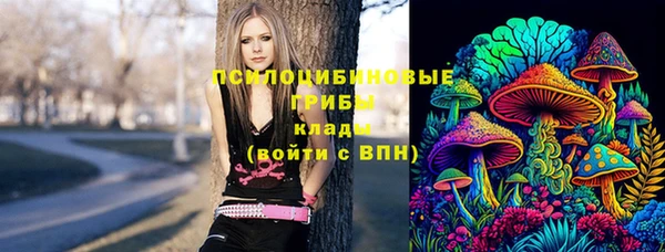 СК Новодвинск