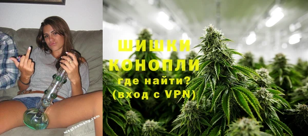 каннабис Новозыбков