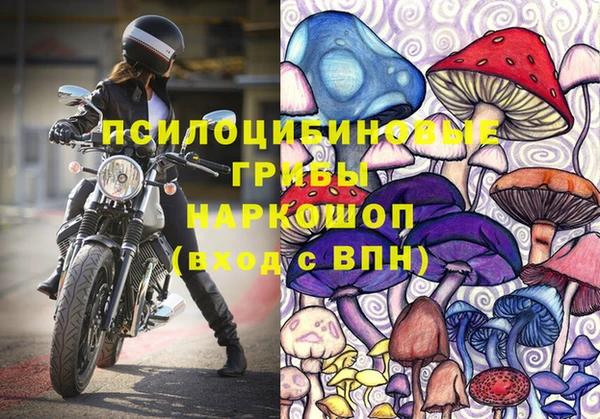 СК Новодвинск