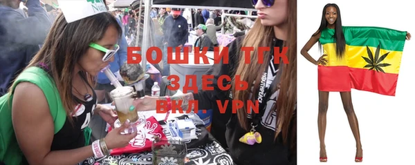 каннабис Новозыбков