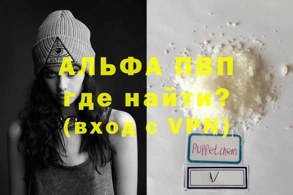 СК Новодвинск