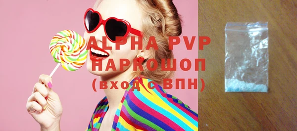 СК Новодвинск