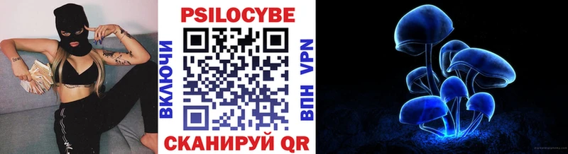Галлюциногенные грибы Psilocybine cubensis Кисловодск