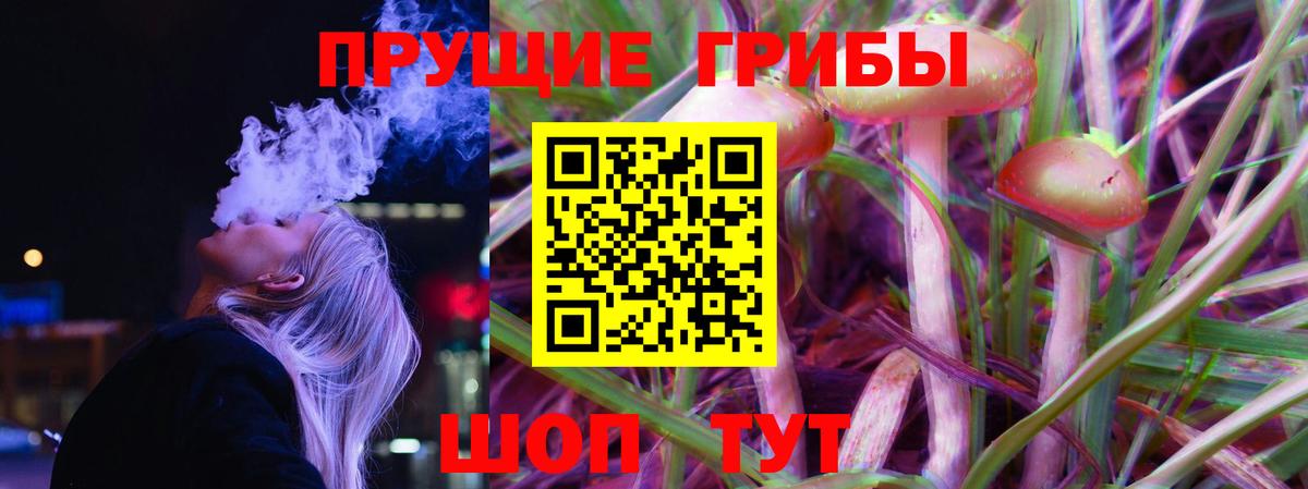 Галлюциногенные грибы MAGIC MUSHROOMS Кисловодск